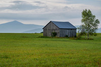 Whiteface and old barn