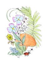 Lady Bug