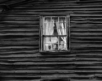 Arts Photography
