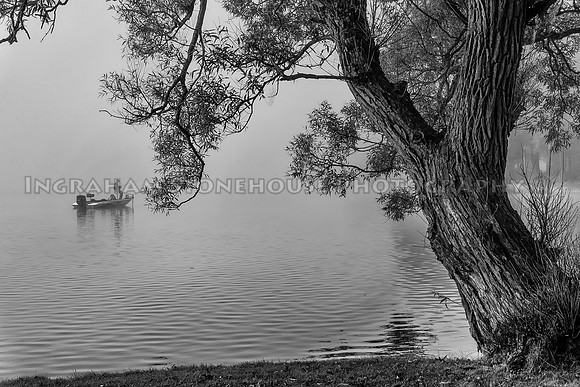 Fishing in Fog