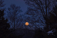 Full Moon November 2018