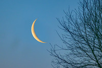 Crescent Moon March 2025