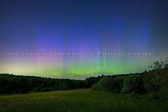 Aurora June 2025