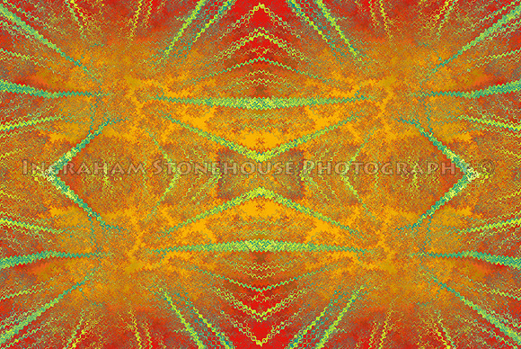 Pattern from Trees