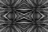 Tree Pattern B&W