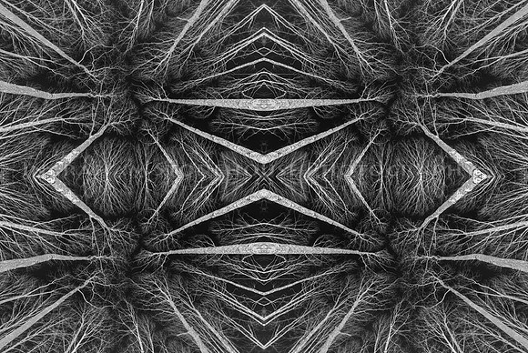 Tree Pattern B&W