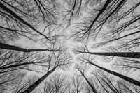Black & White Photography