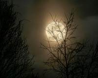 The Moon