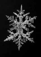 Snow Flake 3
