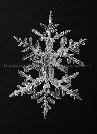 Snow Flake 3