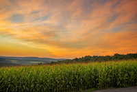Sunrise over cornfield Earlville NY