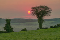 Red sun in morning