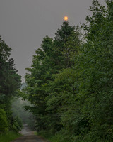 Red Sun Morgan Rd