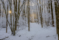 Sun peeks out after a Winter's snow