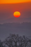 Rising Sun Upperville NY