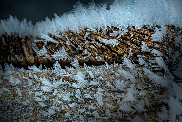 Frost on wood
