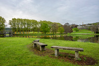 Campus view from the benches