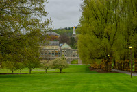 Chapel Willow Path in May