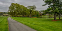 Willow Path to the Chapel May