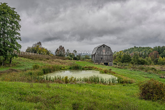 Barn and pond Route 436 Nunda NY