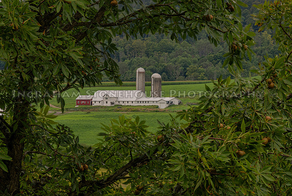 Barn on NY 26 Otselic NY