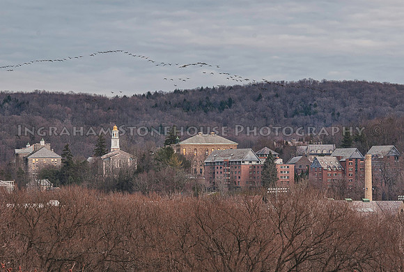 Colgate in Winter