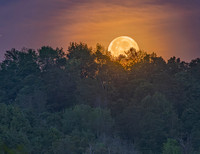 Strawberry Moon 2025-1