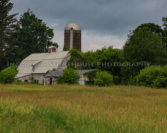 Old Barn ,Unmowed Field 24x16