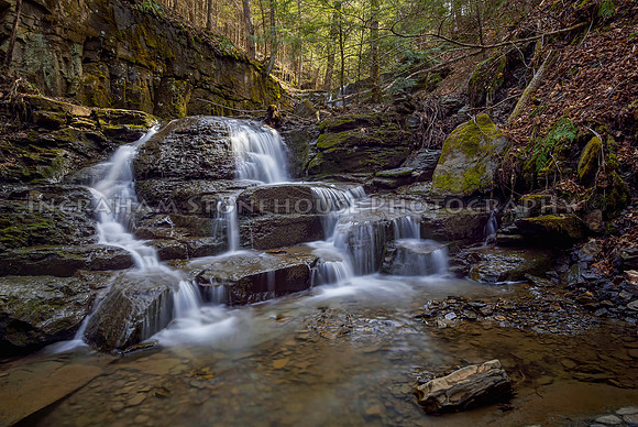Seasonal Falls Smyrna 24x16