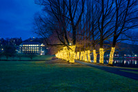 Library and Willow Path lights