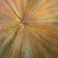Arts Photography