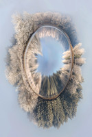 Arts Photography