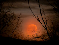 Waxing gibbous orange glow Sherburne NY
