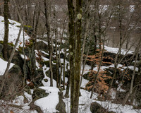 Moss Island, Little Falls NY