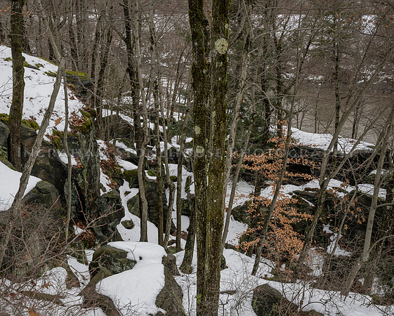 Moss Island, Little Falls NY