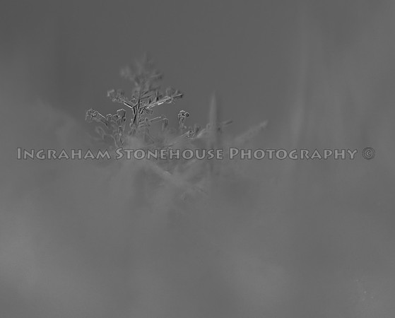 Peaking at a snow flake