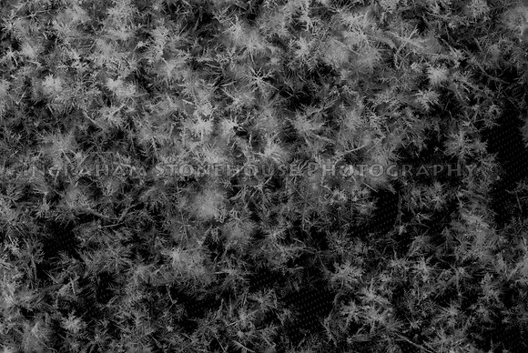 A macro photograph of freshly fallen snow