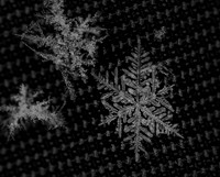 Snow flake close up.