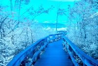 Labrador Unique Area, Boardwalk