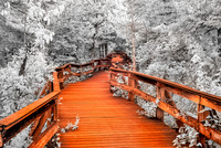 Boardwalk