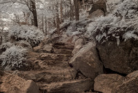Stony Kill Park Catskills