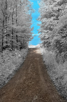 Road to Blue Sky