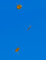 Falling Leaf