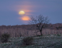 April Full Moon setting