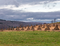 Amish Corn Stacks
