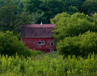 A Lil Red Barn Nestled in