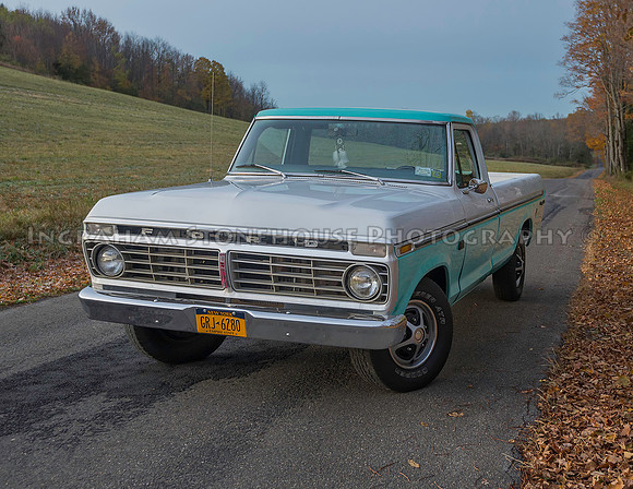 Ford F100