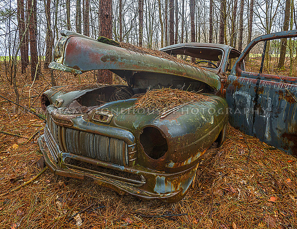 1930s Ford Mercury in the woods