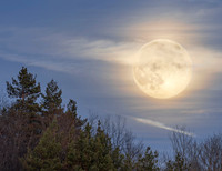 Super Moon November Davis rd 2024