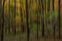 Arts Photography